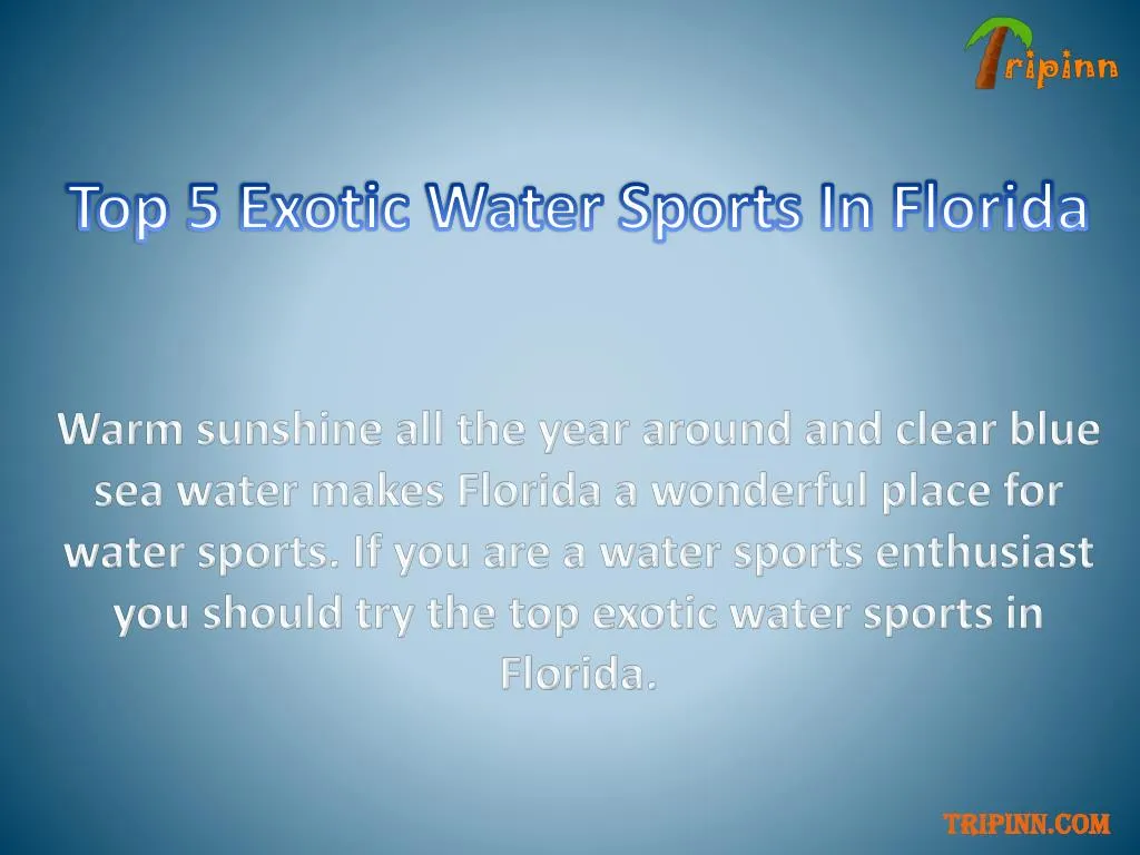 top 5 exotic water sports in florida