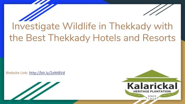 Best Hotels and Resorts in Thekkady