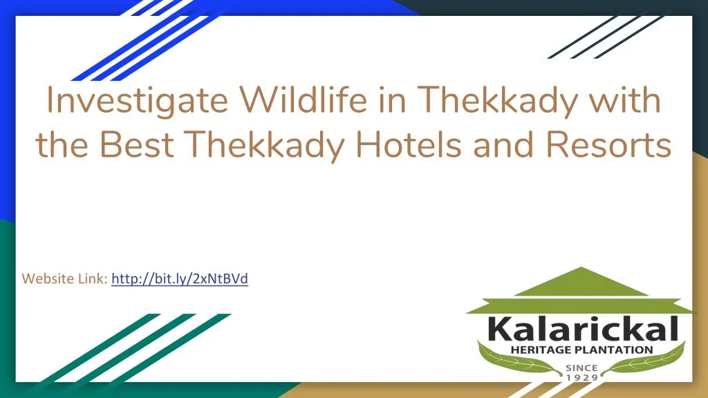 investigate wildlife in thekkady with the best thekkady hotels and resorts