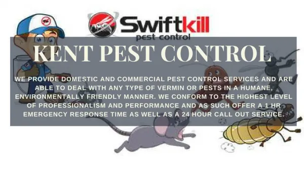 Pest Control in Sutton