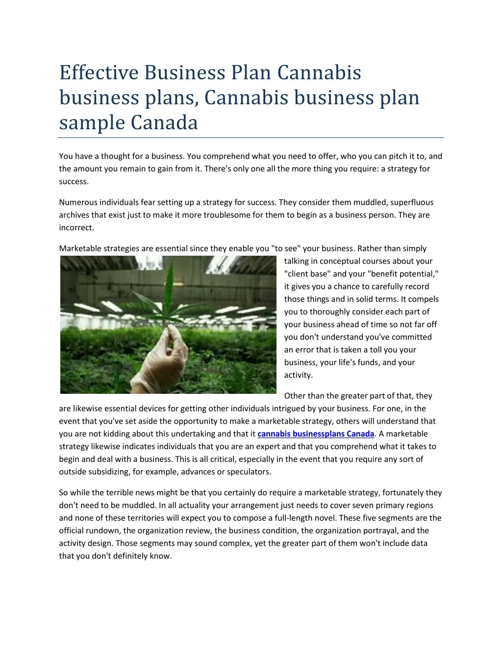 effective business plan cannabis business plans