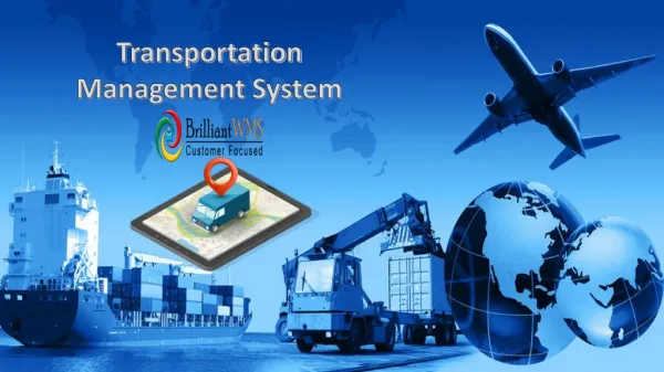 Brilliant offer Transportation Management System