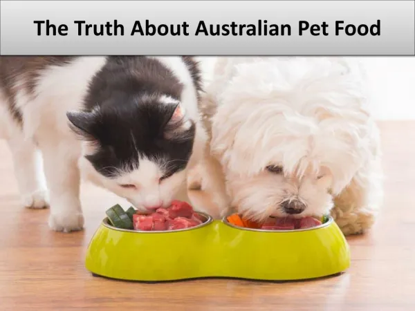 The Truth About Australian Pet Food