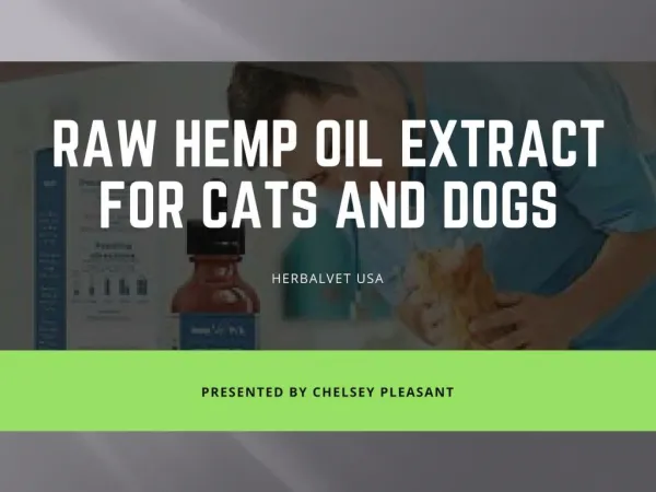 Raw Hemp Oil Extract for Cats and Dogs