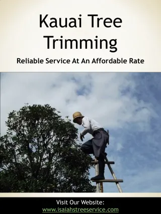 Kauai Tree Trimming - slide 1