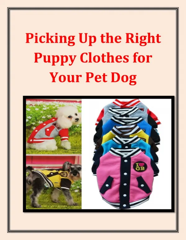Picking Up the Right Puppy Clothes for Your Pet Dog