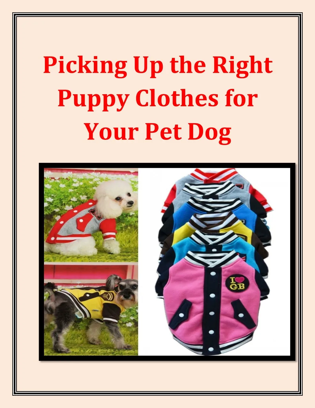 picking up the right puppy clothes for your