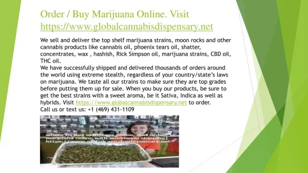 Buy Marijuana online with worldwide shipping on https://www.globalcannabisdispensary.net