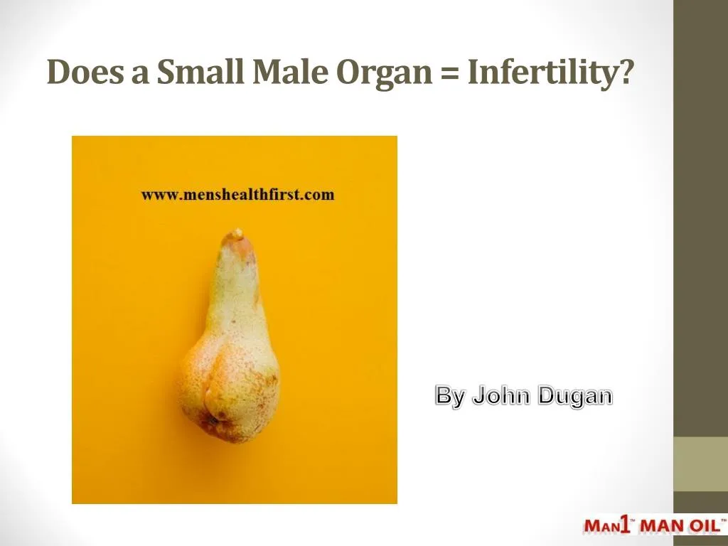 does a small male organ infertility