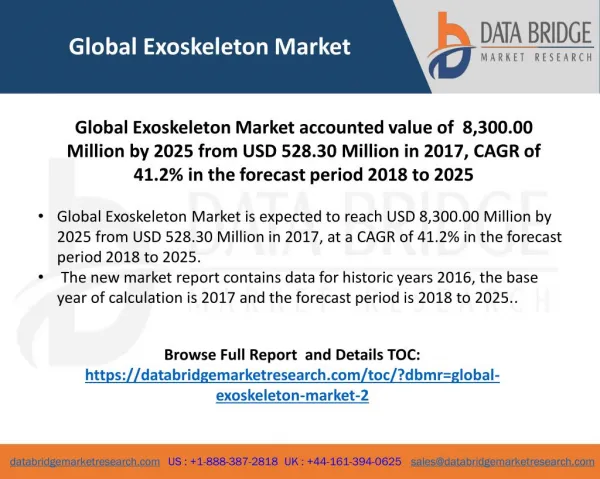 Raytheon Company and Esco Bionics are Dominating the Market for Global Exoskeleton Market in 2017