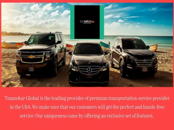 Punta Cana Airport Taxi Service by Transekur.