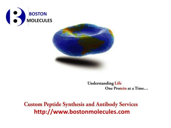 Custom Peptide & Antibodies Services