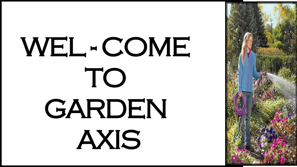 wel come wel come to to garden garden axis axis