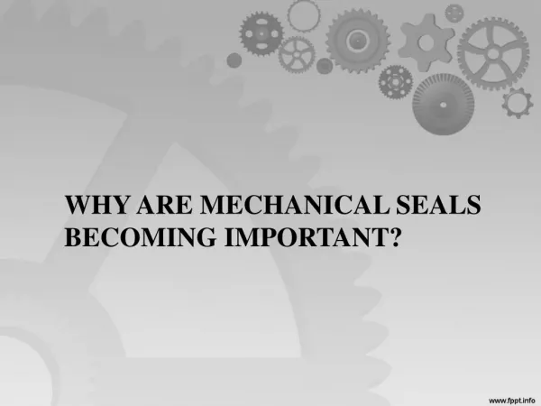 Why are Mechanical Seals becoming Important? | LEAK-PACK