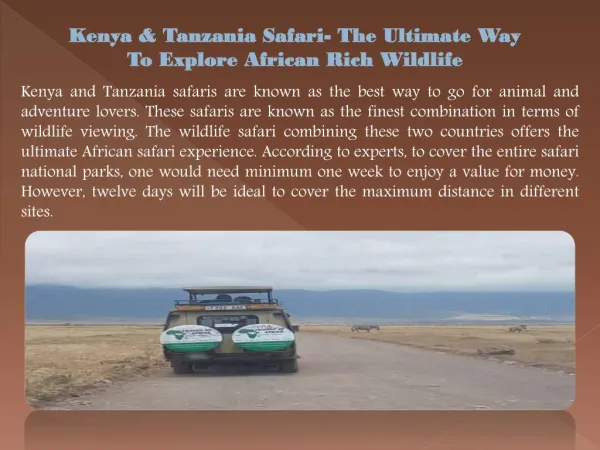Kenya & Tanzania Safari- The Ultimate Way To Explore African Rich Wildlife