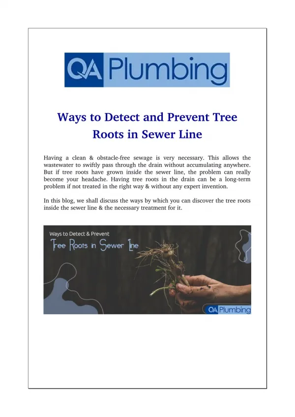 Ways to Detect and Prevent Tree Roots in Sewer Line