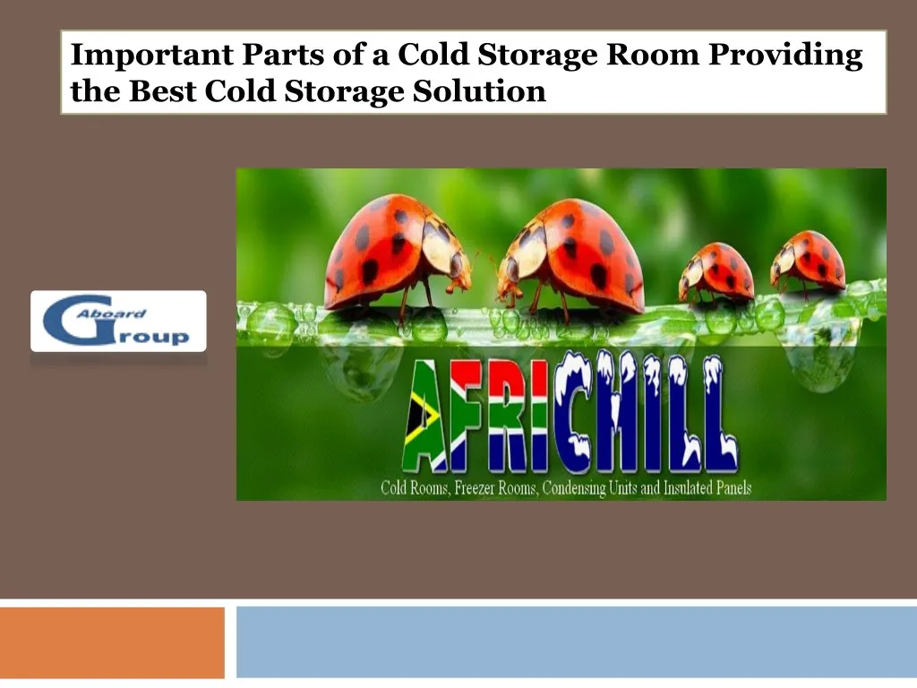 important parts of a cold storage room providing