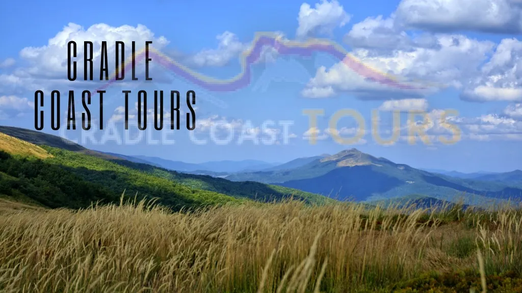 cradle coast tours