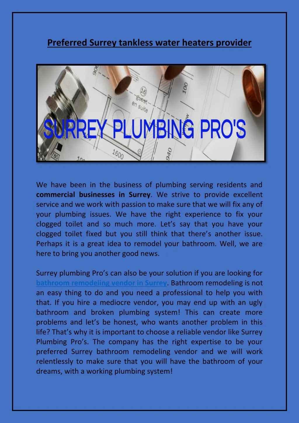 preferred surrey tankless water heaters provider