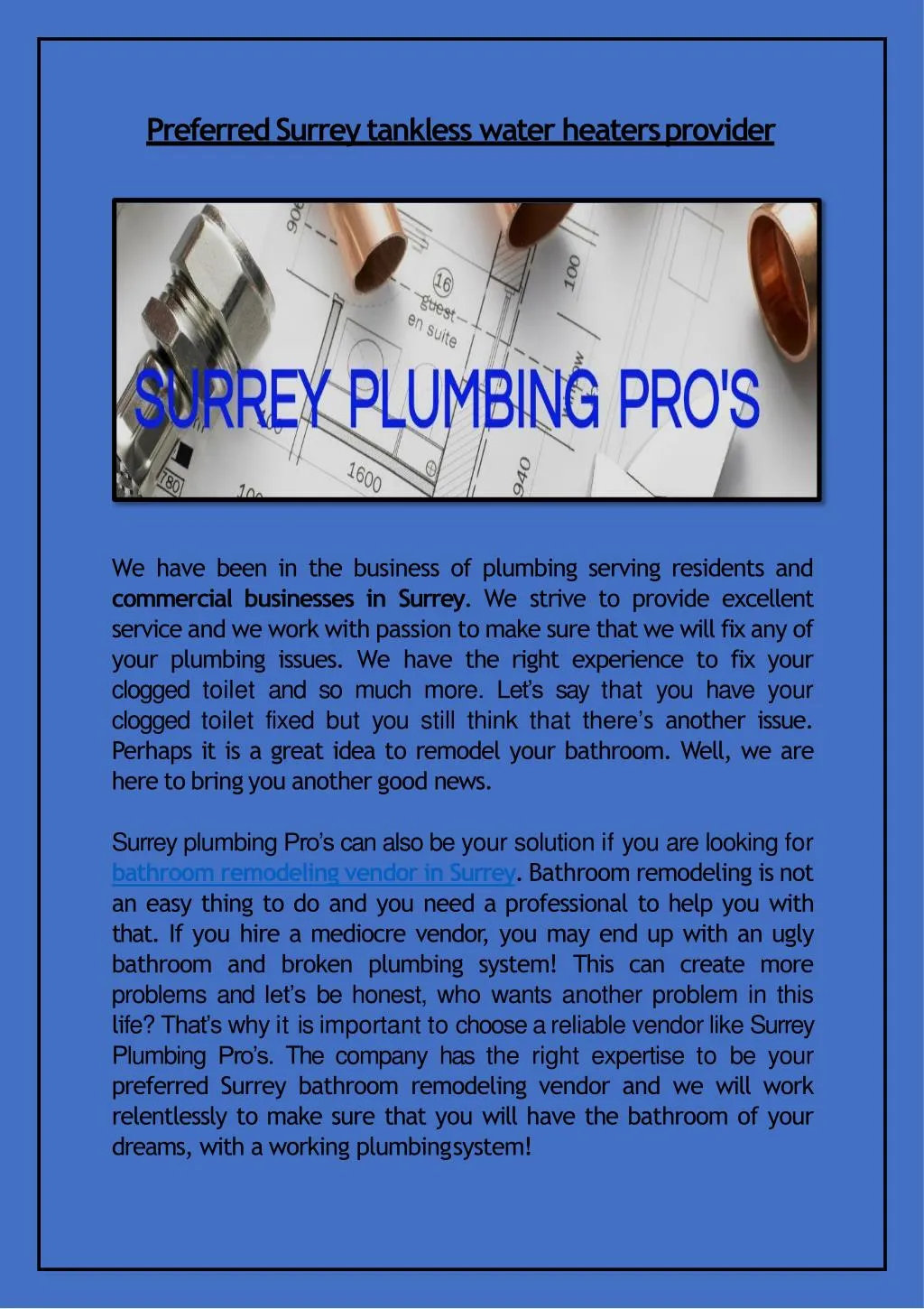 preferred surrey tankless water heaters provider