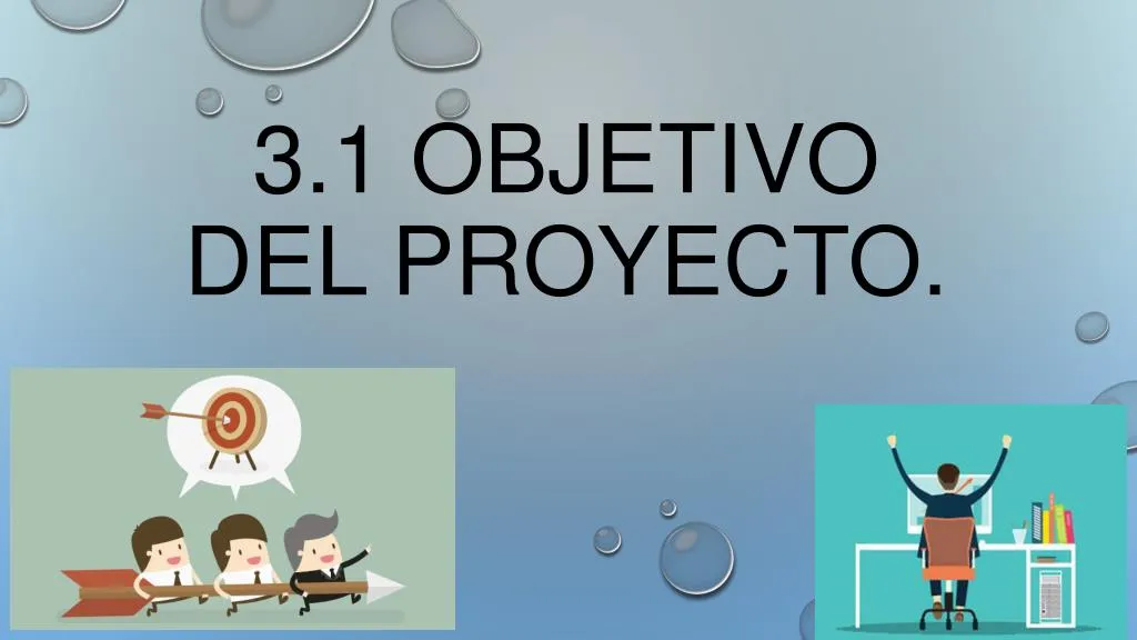 3 1 objetivo del proyecto