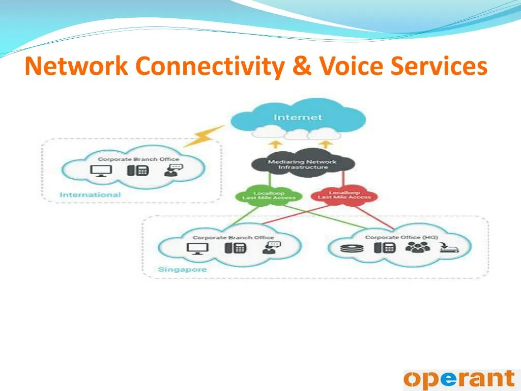 network connectivity voice services