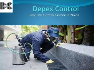 Best Pest Control Services in Noida - slide 1