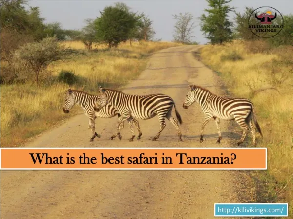 What is the best safari in Tanzania