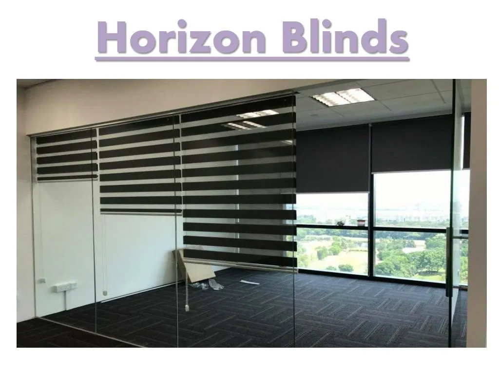 horizon blinds