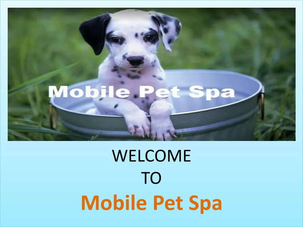 welcome to mobile pet spa