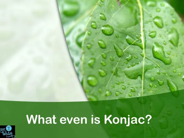 What is Konjac?