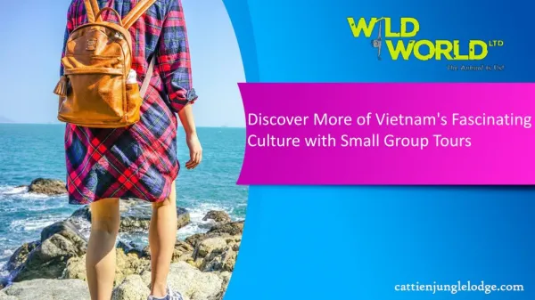 Discover More of Vietnam's Fascinating Culture with Small Group Tours