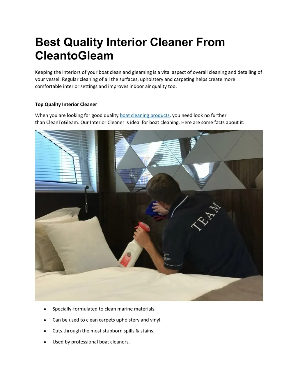 best quality interior cleaner from cleantogleam