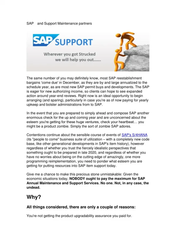 SAP and Support Maintenance partners