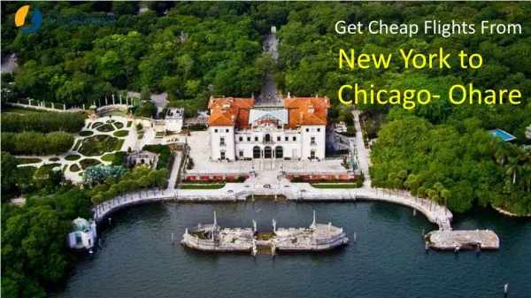 New york to Chicago Flights At Unbeatable Price - Flightsbird