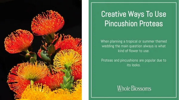 Add Wow Factor in Your Wedding with Pincushion Protea Flower