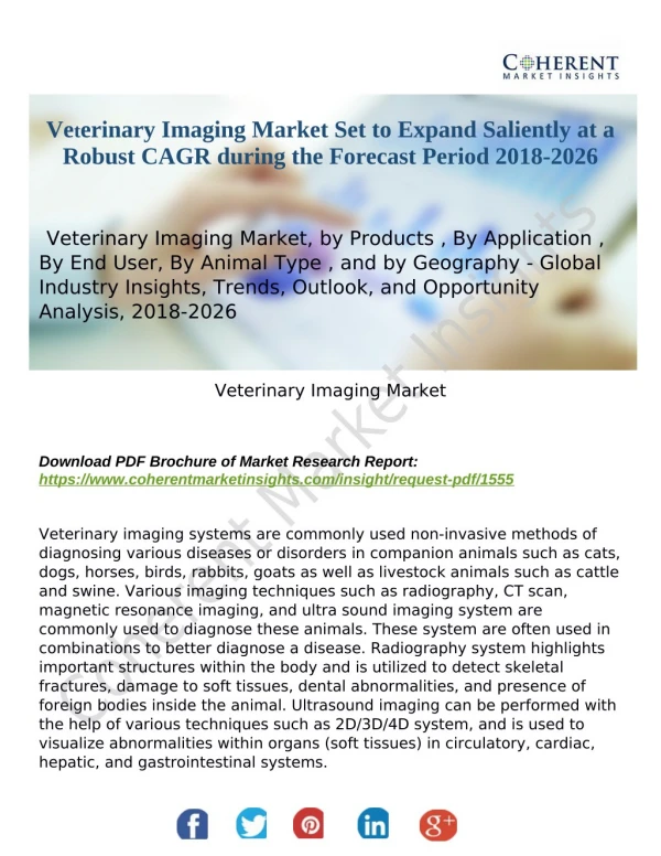 Veterinary Imaging Market Set to Expand Saliently at a Robust CAGR during the Forecast Period 2018-2026