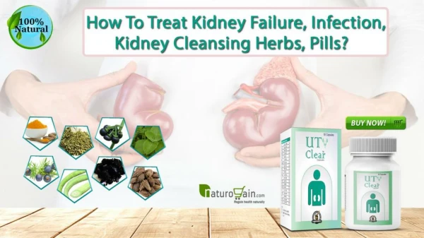 How to Treat Kidney Failure, Infection, Kidney Cleansing Herbs, Pills?