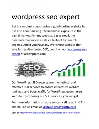 wordpress seo expert - slide 1