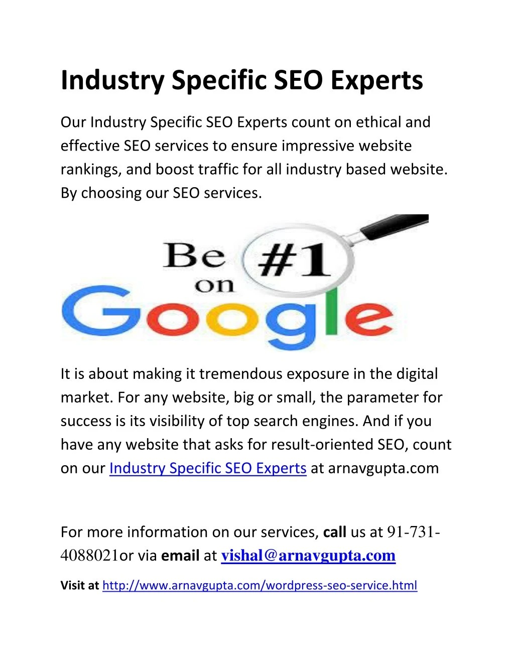 industry specific seo experts