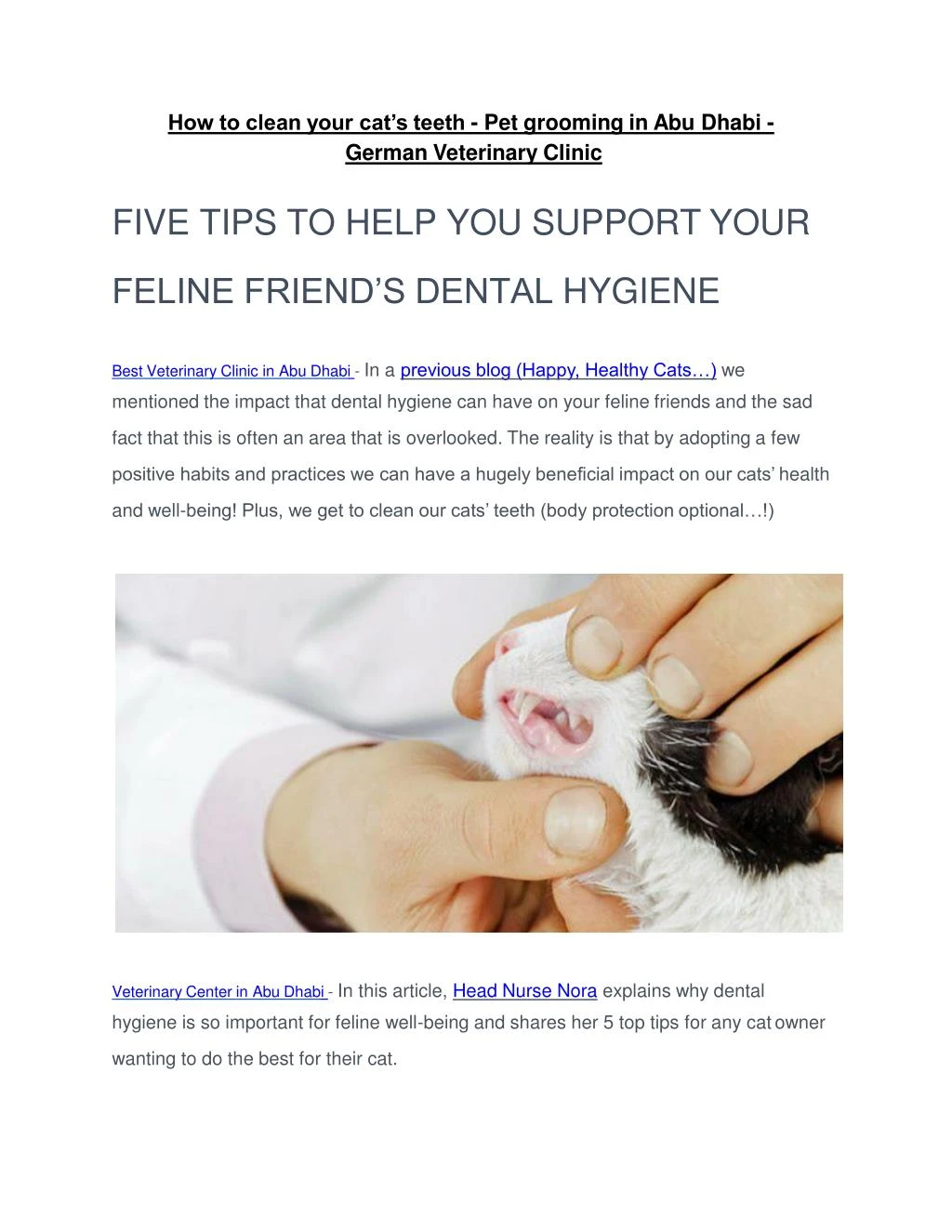 five tips to help you support your feline friend s dental hygiene