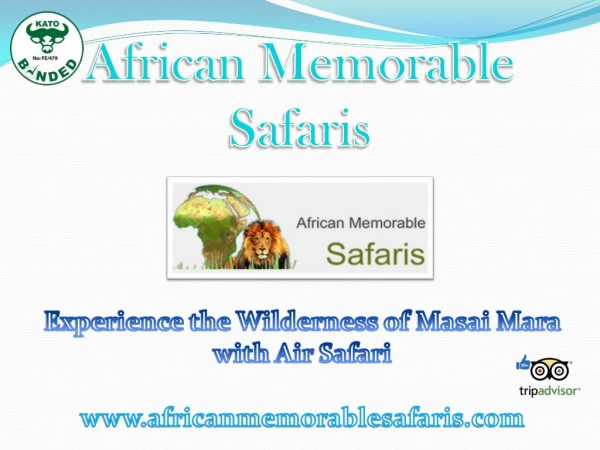 Experience the Wilderness of Masai Mara with Air Safari