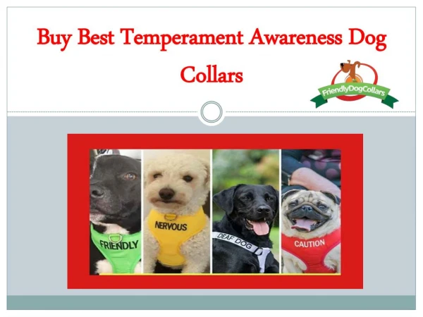 Buy Best temperament Awareness Dog Collars | Friendly Dog Collars
