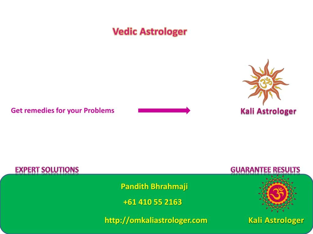 vedic astrologer