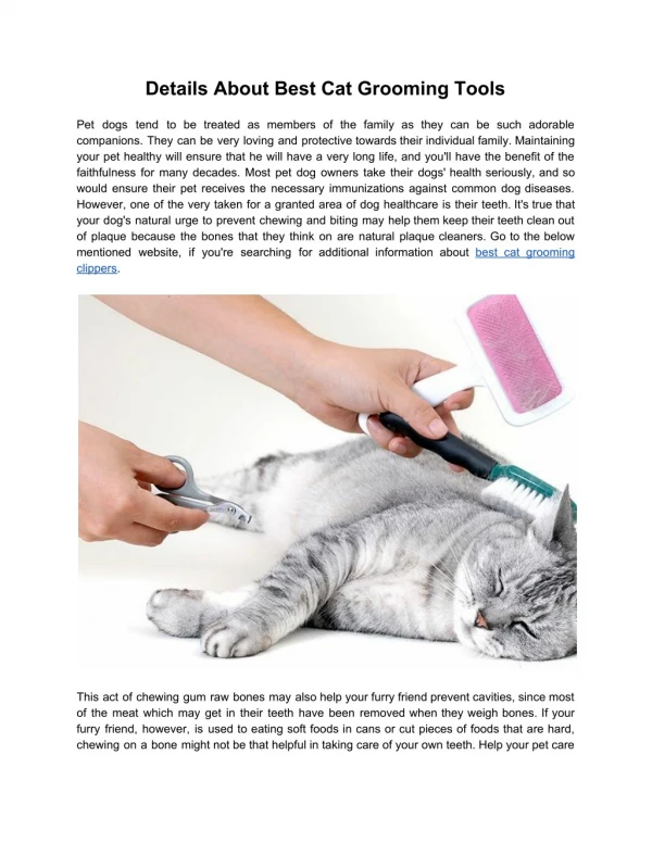 Details About Best Cat Grooming Tools