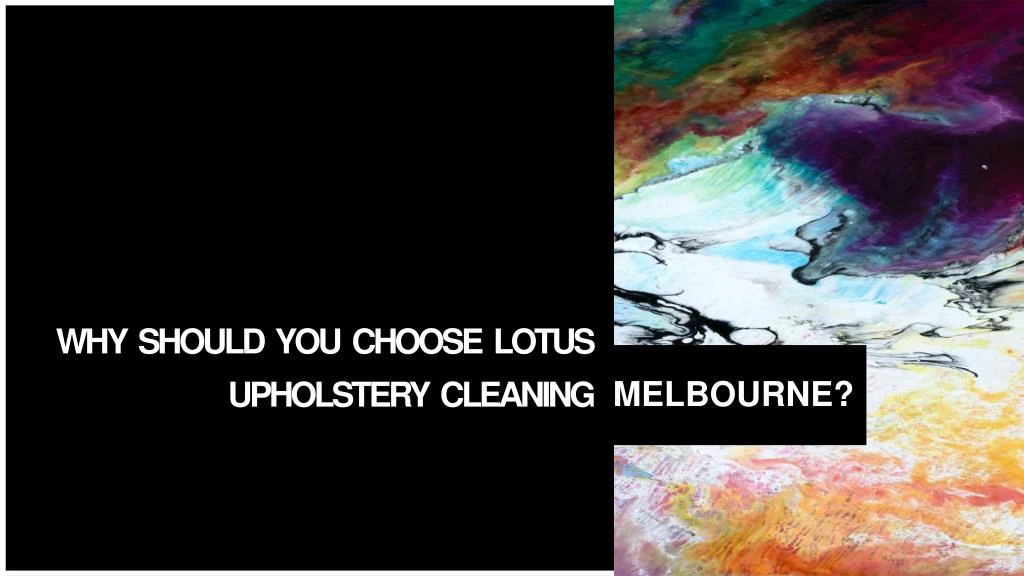 why should you choose lotus upholstery cleaning