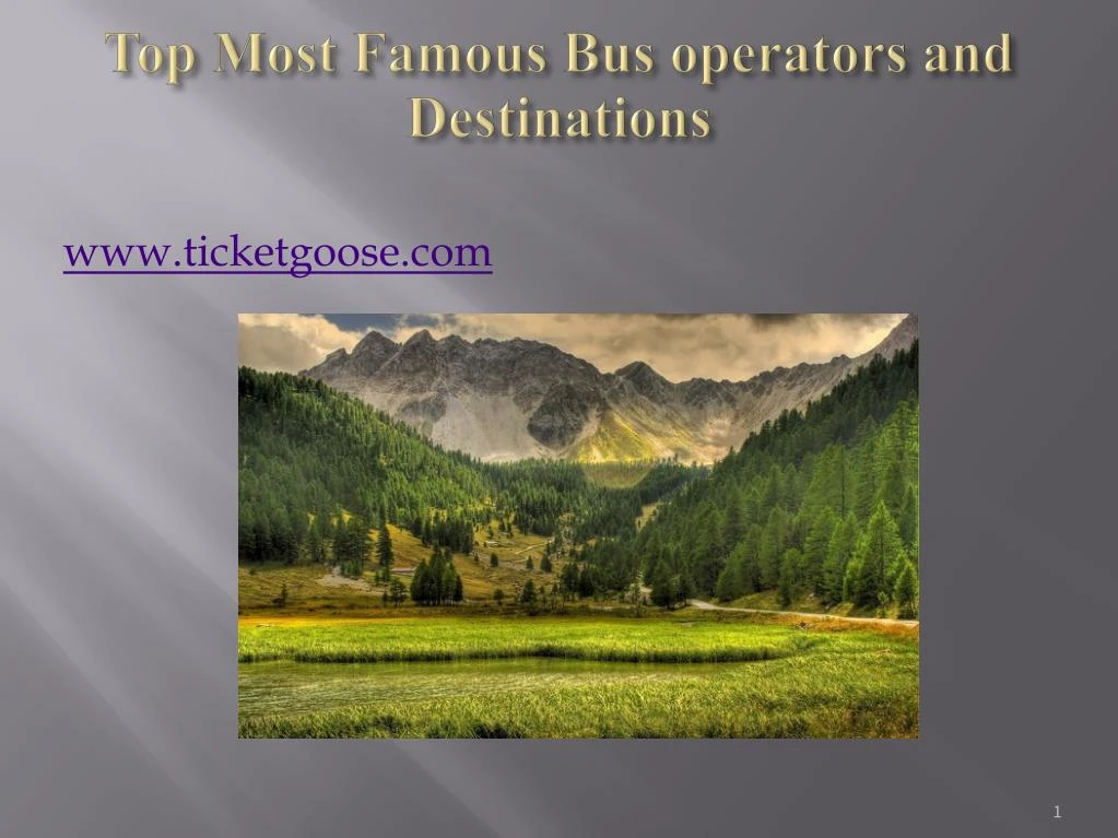 top most famous bus operators and destinations