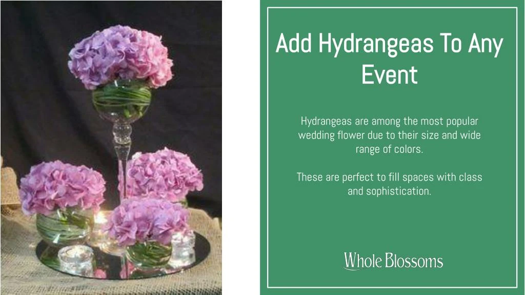 add hydrangeas to any event