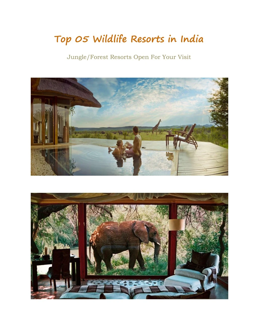 top 05 wildlife resorts in india