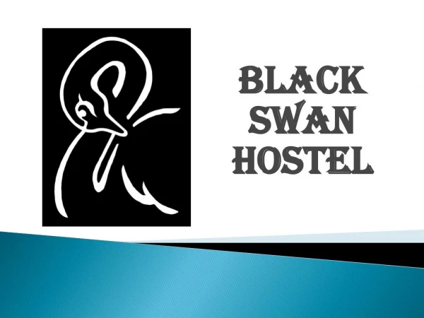 Get The Best Hotel Service with Black Swan Hostel